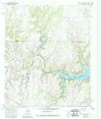 McEwen Draw 1967 topographic map thumbnail