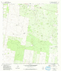 McAllen Ranch 1972 topographic map thumbnail