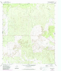 Mertzon SW 1972 topographic map thumbnail