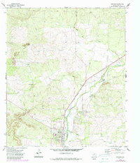 Mertzon 1972 topographic map thumbnail