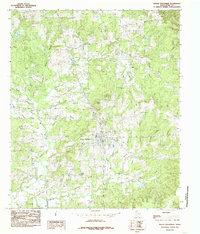 Mount Enterprise 1984 topographic map thumbnail