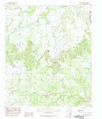 Mountain Pass 1984 topographic map thumbnail