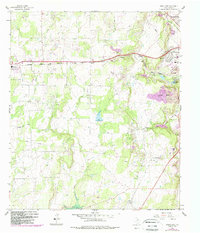 Bangs East 1962 topographic map thumbnail