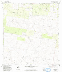 Bentsen Ranch 1972 topographic map thumbnail