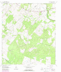 Berclair NW 1963 topographic map thumbnail