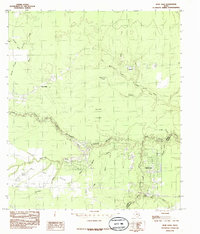 Bevil Oaks 1984 topographic map thumbnail