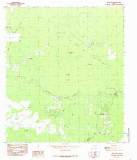 Bevil Oaks 1984 topographic map thumbnail