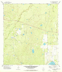 Biel Lake North 1973 topographic map thumbnail