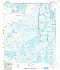 Big Hill Bayou 1993 topographic map thumbnail