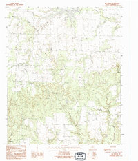 Big Mound 1990 topographic map thumbnail