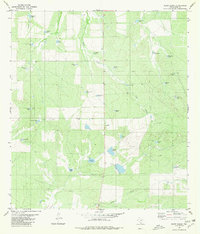 Shipp Ranch 1980 topographic map preview