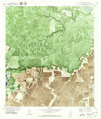 Sinton East 1979 topographic map thumbnail