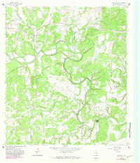 Sisterdale 1964 topographic map thumbnail
