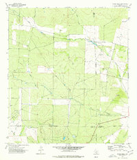 Snake Creek 1974 topographic map thumbnail