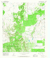 Snyder Lake 1965 topographic map thumbnail