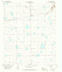 South Plains 1966 topographic map thumbnail