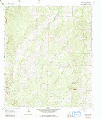 Spice Rock 1963 topographic map thumbnail