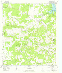 Spicewood 1967 topographic map thumbnail