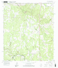 Spring Branch 1964 topographic map preview