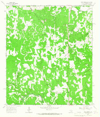 Spring Branch 1964 topographic map thumbnail