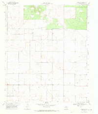 Tahoka SW 1969 topographic map thumbnail