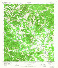 Tarpley 1964 topographic map thumbnail