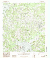 Tatum 1983 topographic map preview