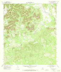 Texas Mountain 1969 topographic map thumbnail