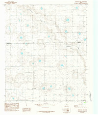 Abernathy SW 1985 topographic map thumbnail