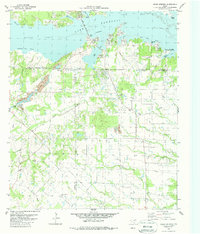 Ables Springs 1979 topographic map thumbnail