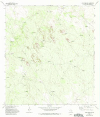 Agua Nueva NW 1972 topographic map thumbnail
