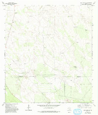 Agua Nueva SE 1972 topographic map thumbnail