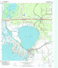 Anahuac 1993 topographic map preview