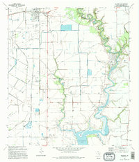 Blessing 1995 topographic map thumbnail