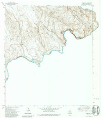 Boquillas 1971 topographic map preview