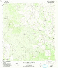 Borregos Ranch 1972 topographic map thumbnail