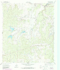 Brady SW 1963 topographic map thumbnail