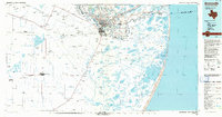 Brownsville topographic map thumbnail