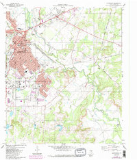 Brownwood 1980 topographic map thumbnail