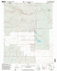 Buffalo Springs 1998 topographic map thumbnail