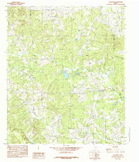 Caledonia 1984 topographic map thumbnail