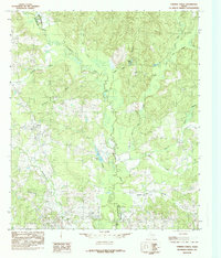 Chireno North 1984 topographic map thumbnail