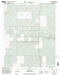 Coldwater East 1998 topographic map thumbnail