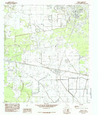Daisetta 1984 topographic map preview