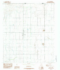 Dell City 1984 topographic map thumbnail