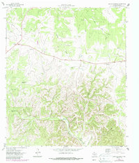 Devils Sinkhole 1971 topographic map thumbnail