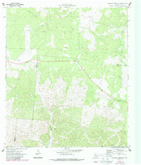 Earwood Creek SW 1971 topographic map thumbnail