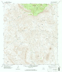 Emory Peak 1971 topographic map thumbnail