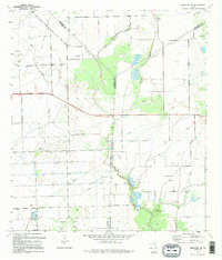 Francitas NE 1995 topographic map thumbnail