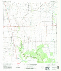 Francitas NW 1995 topographic map thumbnail
